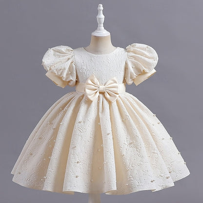 Princess Flower Girls' Kid's Dress Girl