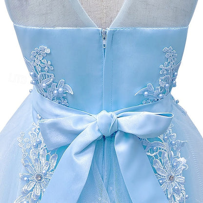 Dress Kid's Princess Flower Girl Girls'