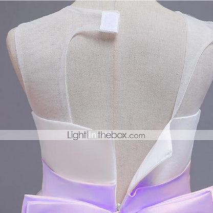 Girl Girls' Formal Lace Flower Dress