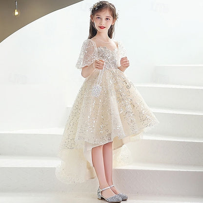 Kid's Flower Girl Girls' Princess Dress