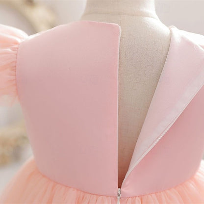 Dress Princess Girls' Kid's Flower Girl