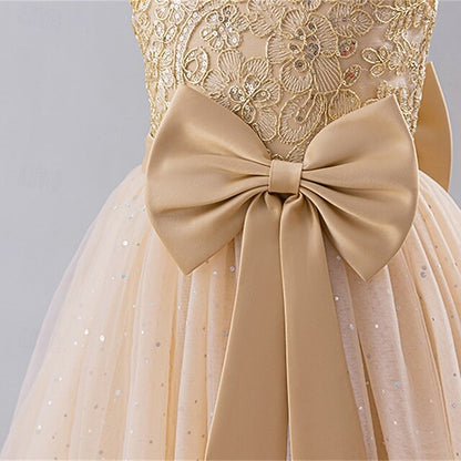 Kid's Girls' Dress Princess Flower Girl