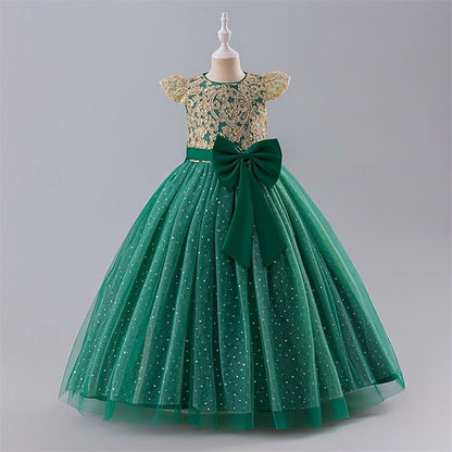 Kid's Girls' Dress Princess Flower Girl