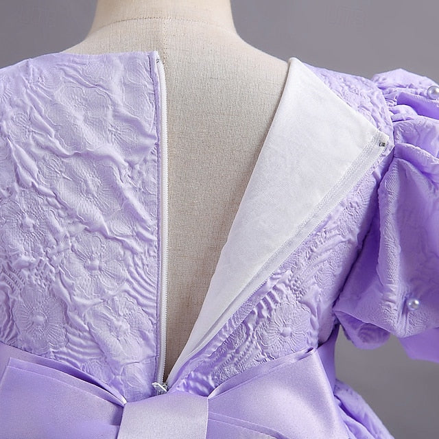 Princess Flower Girls' Kid's Dress Girl