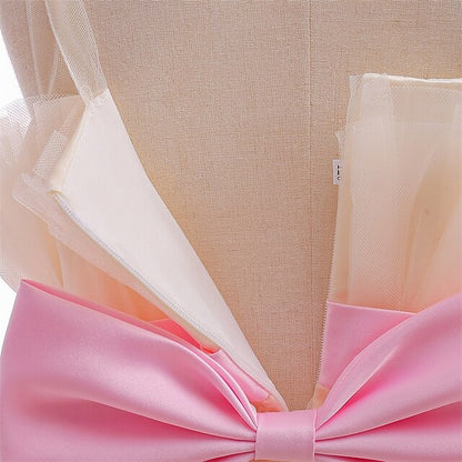 Flower Kid's Dress Girls' Girl Princess