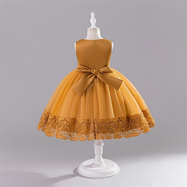 Flower Dress Girl Kid's Princess Girls'