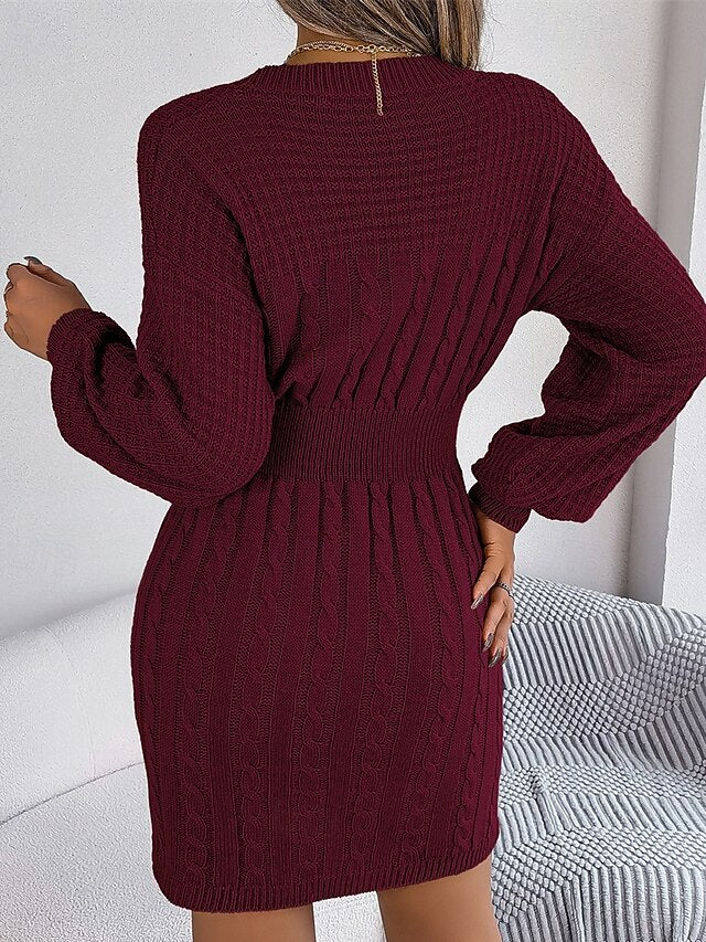 Women's Mini Dress Sweater Dress Casual Dress Elegant