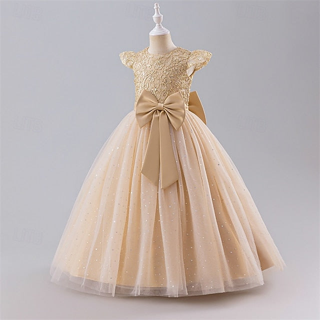 Kid's Girls' Dress Princess Flower Girl