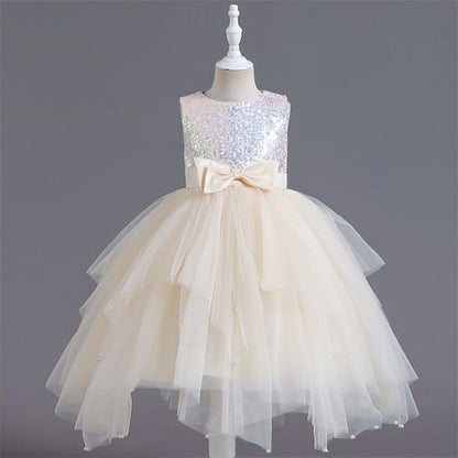 Flower Girl Girls' Princess Dress Kid's