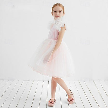Princess Dress Flower Girls' Girl Kid's