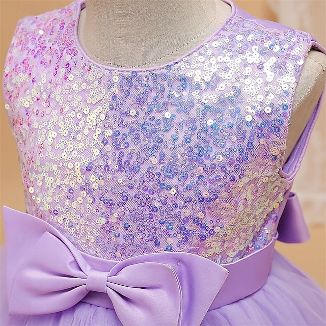 Flower Girl Girls' Princess Dress Kid's