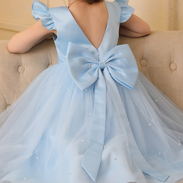 Color Party Kids Girls' Solid Dress Flower Girl