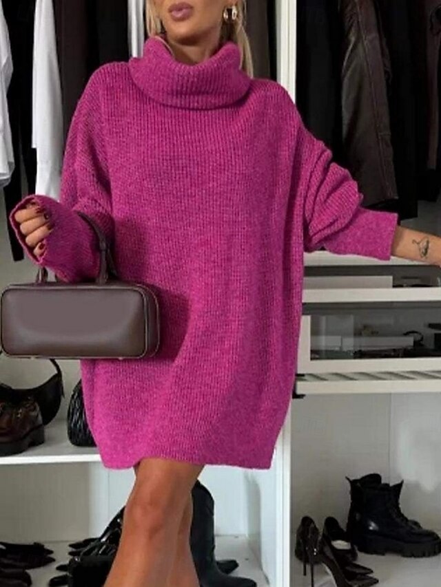 Women's Sweater Dress Daily Stylish Basic Pure Color Ribbed