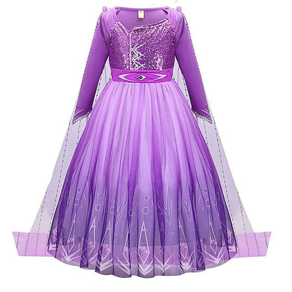 Fairytale Girl Frozen Theme Flower Party Anna Princess Dress