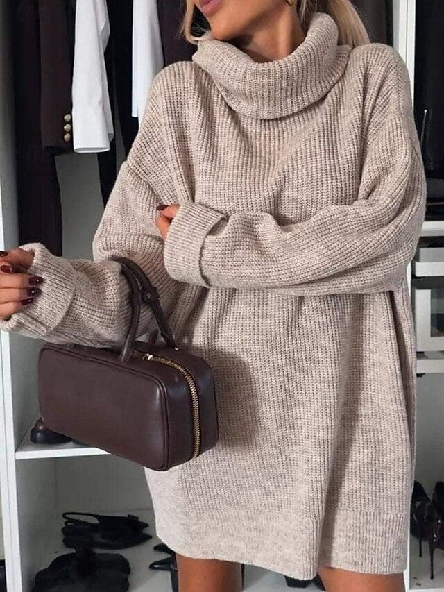 Women's Sweater Dress Daily Stylish Basic Pure Color Ribbed