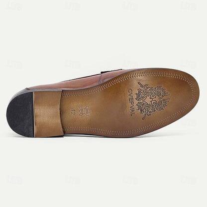 Leather Shoes Brown Penny Slip-On Loafers with Men's