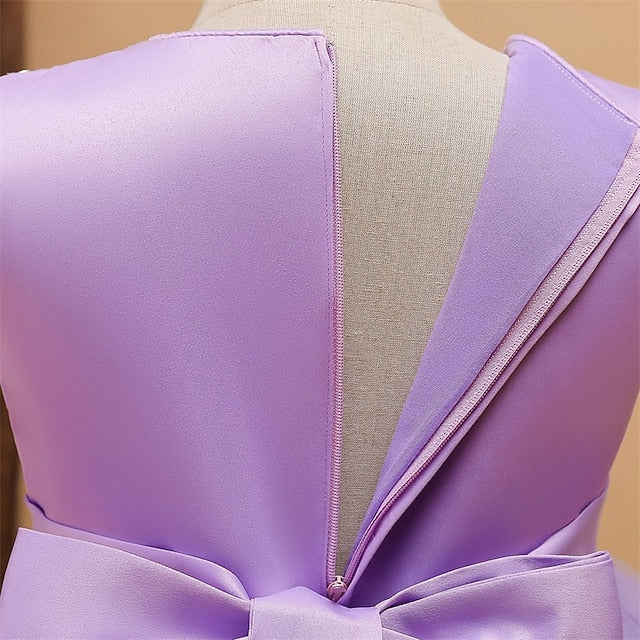 Flower Girl Girls' Princess Dress Kid's