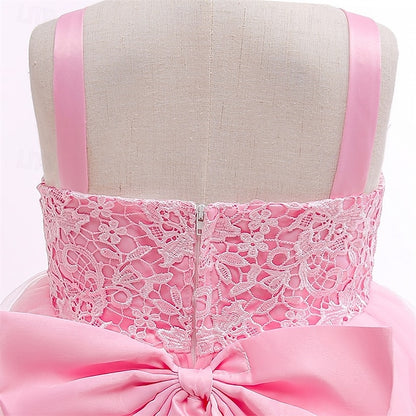 Flower Girl Dress Kid's Princess Girls'