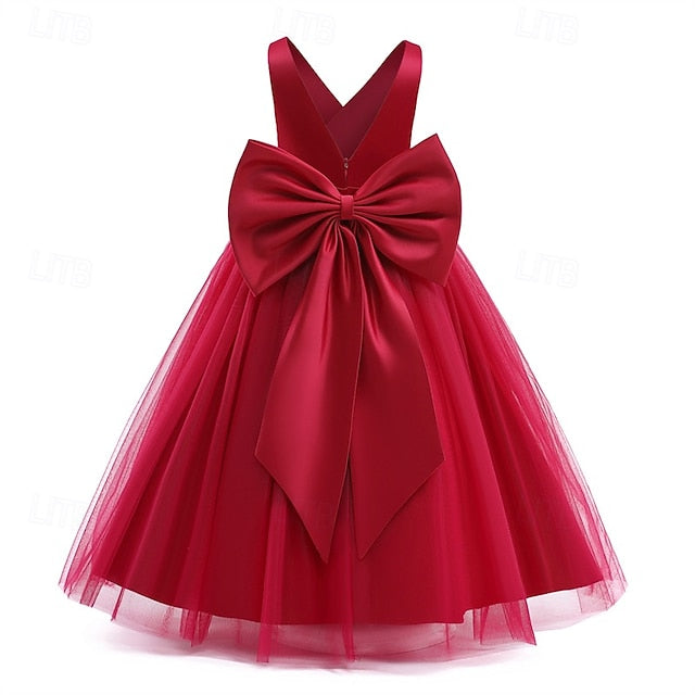 Girls' Princess Dress Kid's Flower Girl