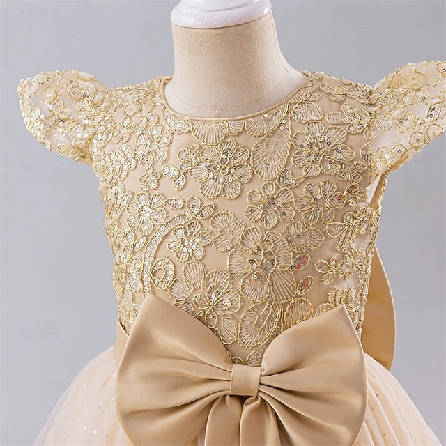 Kid's Girls' Dress Princess Flower Girl