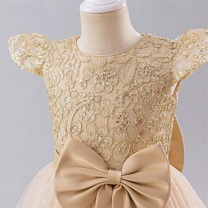 Kid's Girls' Dress Princess Flower Girl