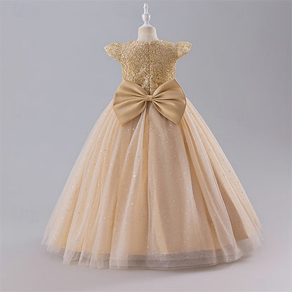 Kid's Girls' Dress Princess Flower Girl