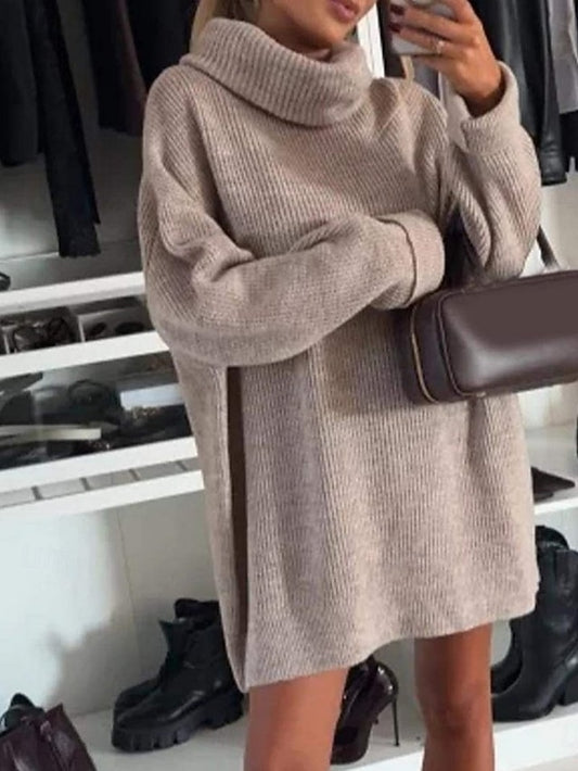 Women's Sweater Dress Daily Stylish Basic Pure Color Ribbed