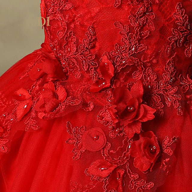 Princess Flower Girls' Dress Girl Party