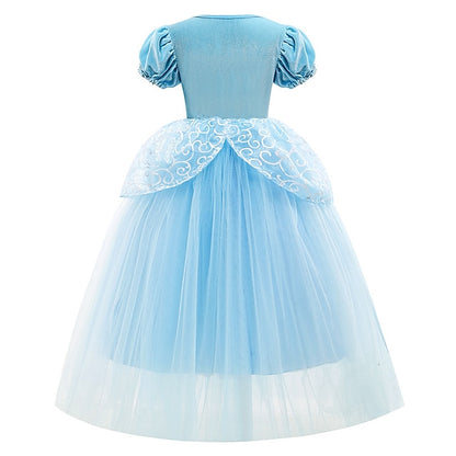 Party Flower Girl Dress Theme Fairytale Cinderella Princess