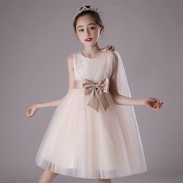 Girls' Flower Dress Girl Kid's Princess