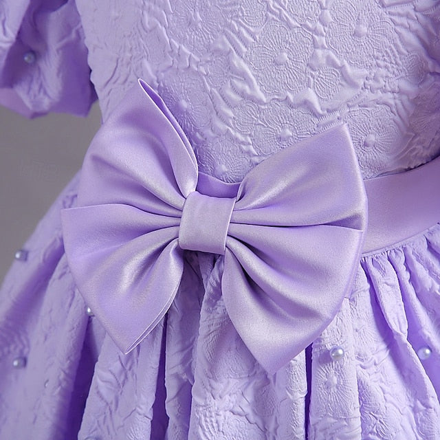 Princess Flower Girls' Kid's Dress Girl