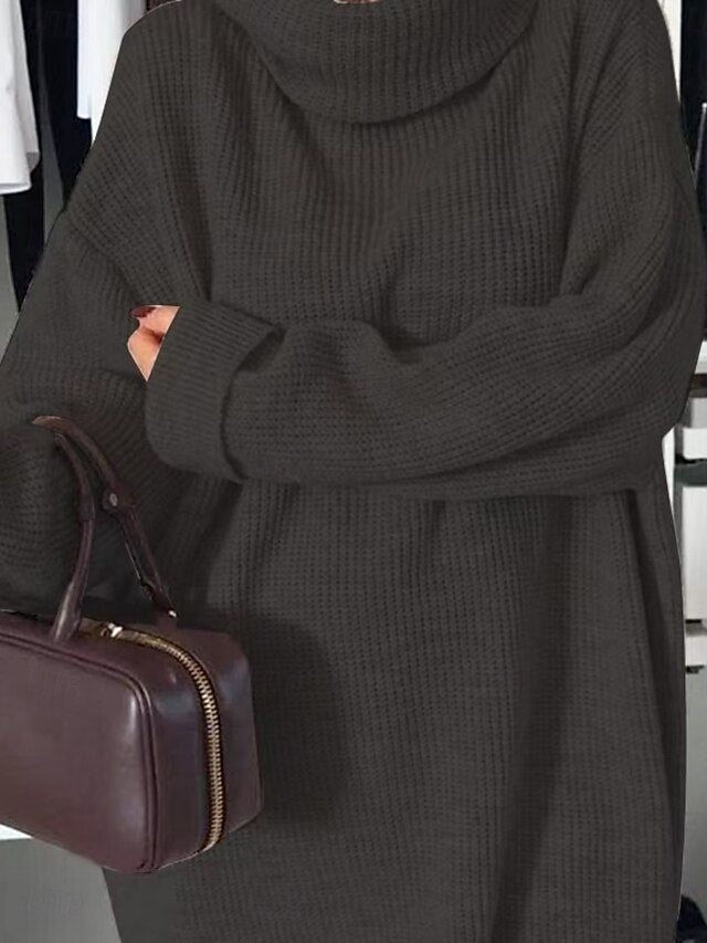 Women's Sweater Dress Daily Stylish Basic Pure Color Ribbed