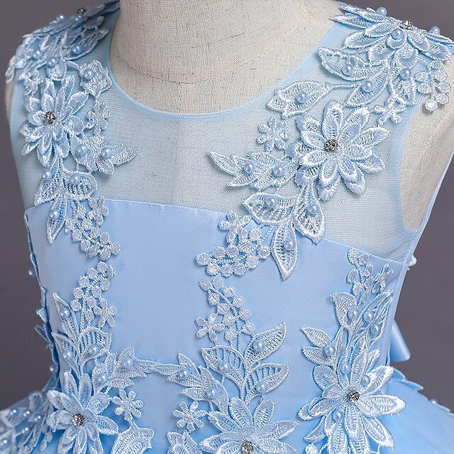 Dress Kid's Princess Flower Girl Girls'