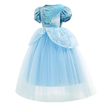 Party Flower Girl Dress Theme Fairytale Cinderella Princess