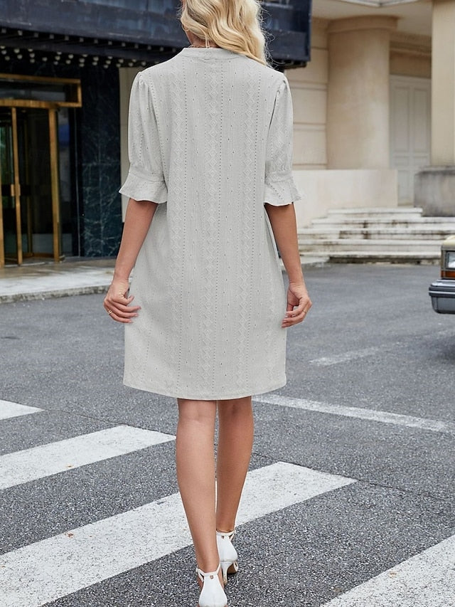 Women's Mini Dress Casual Dress A Line Dress Stylish Basic