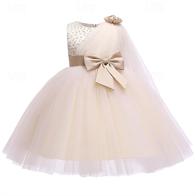Girls' Flower Dress Girl Kid's Princess