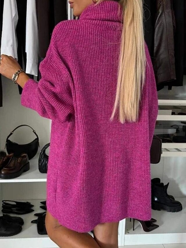 Women's Sweater Dress Daily Stylish Basic Pure Color Ribbed