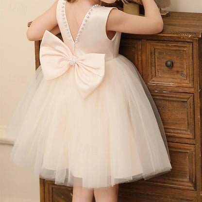 Wedding Dress Sleeveless Color Party Kids Girls' Solid