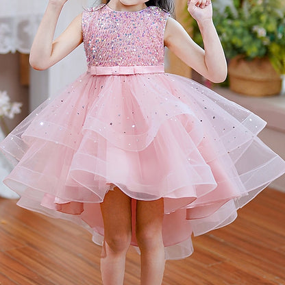 Dress Girls' Princess Flower Party Girl