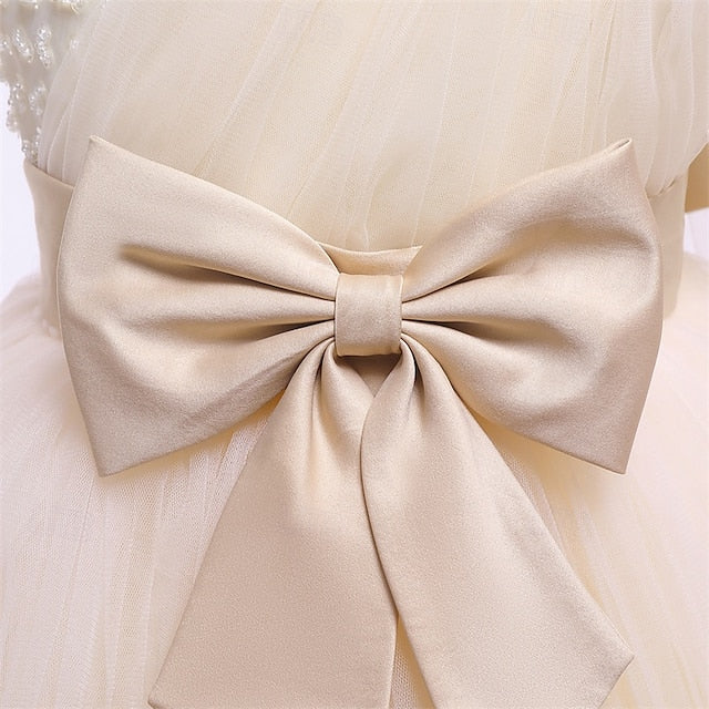 Princess Girl Girls' Kid's Flower Dress