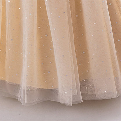 Kid's Girls' Dress Princess Flower Girl