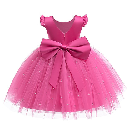 Dress First Princess Girls' Girl Flower Communion