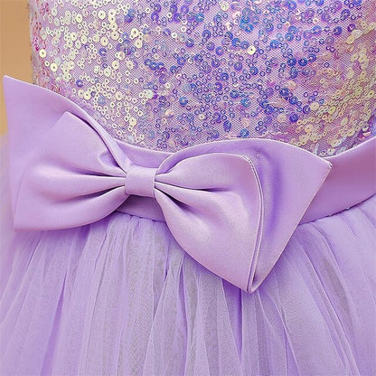 Flower Girl Girls' Princess Dress Kid's