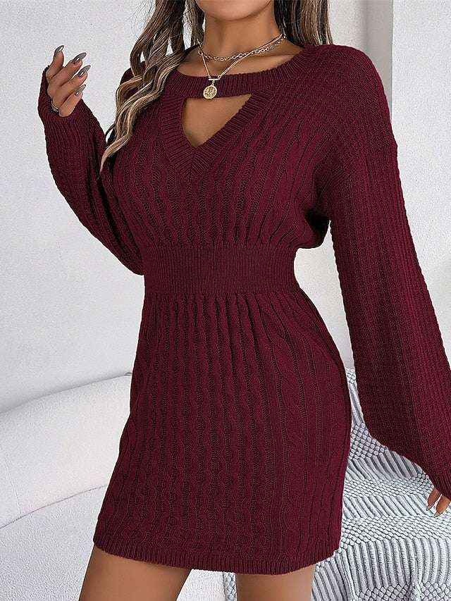 Women's Mini Dress Sweater Dress Casual Dress Elegant