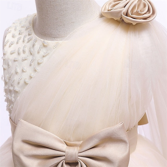 Girls' Flower Dress Girl Kid's Princess