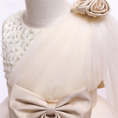 Girls' Flower Dress Girl Kid's Princess