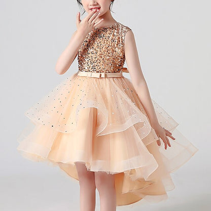 Dress Girls' Princess Flower Party Girl