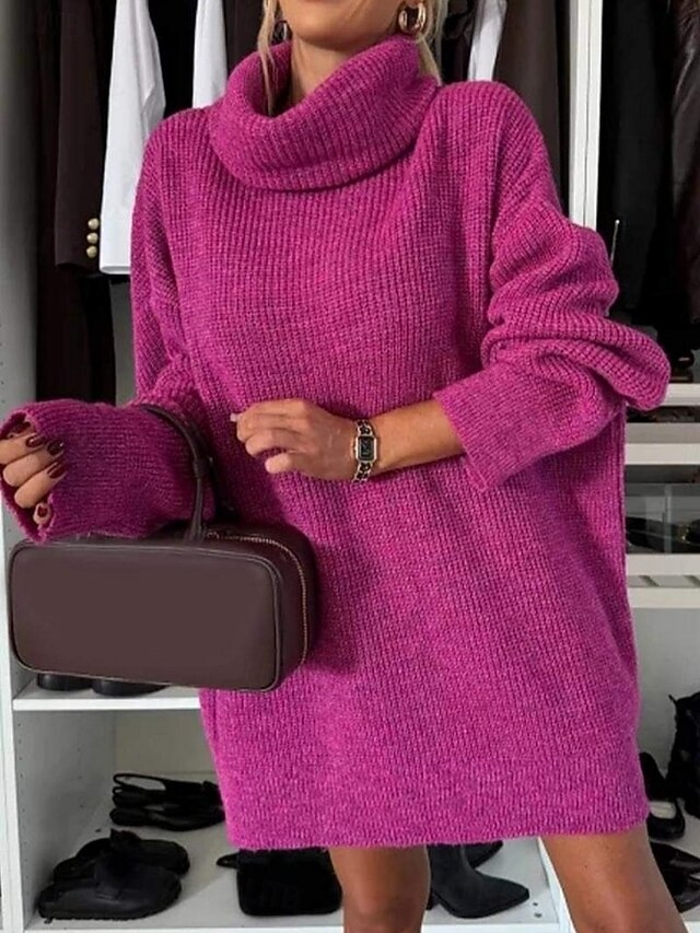 Women's Sweater Dress Daily Stylish Basic Pure Color Ribbed