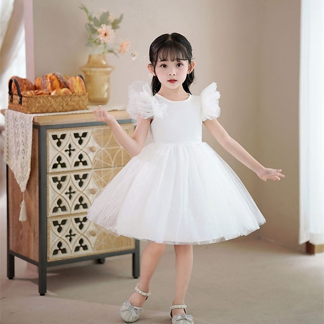 Princess Dress Flower Girls' Girl Kid's