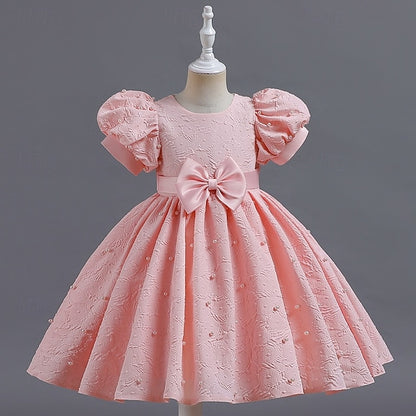 Princess Flower Girls' Kid's Dress Girl